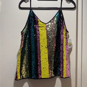 Sequin Striped Camisole in Multicolor